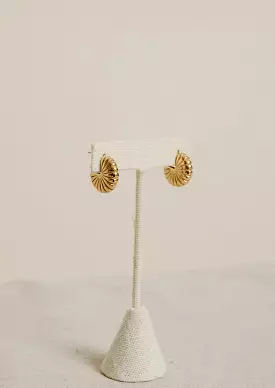 Gold Shell Earrings