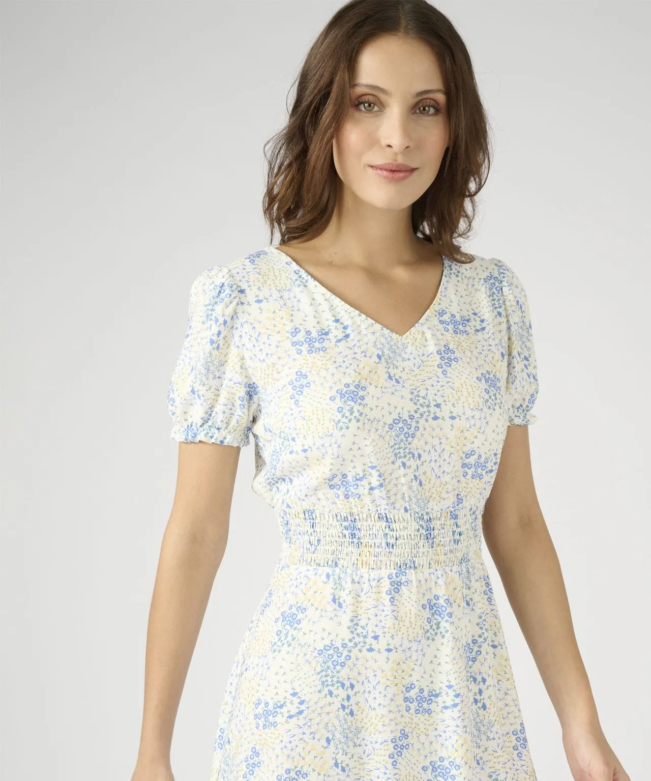 Stretch Waist Printed Tea Dress